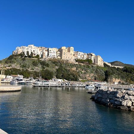 Casa Mediterranea: Appartamento Vista Mare A Soli 200M Dalla Spiaggia 斯佩隆加 外观 照片