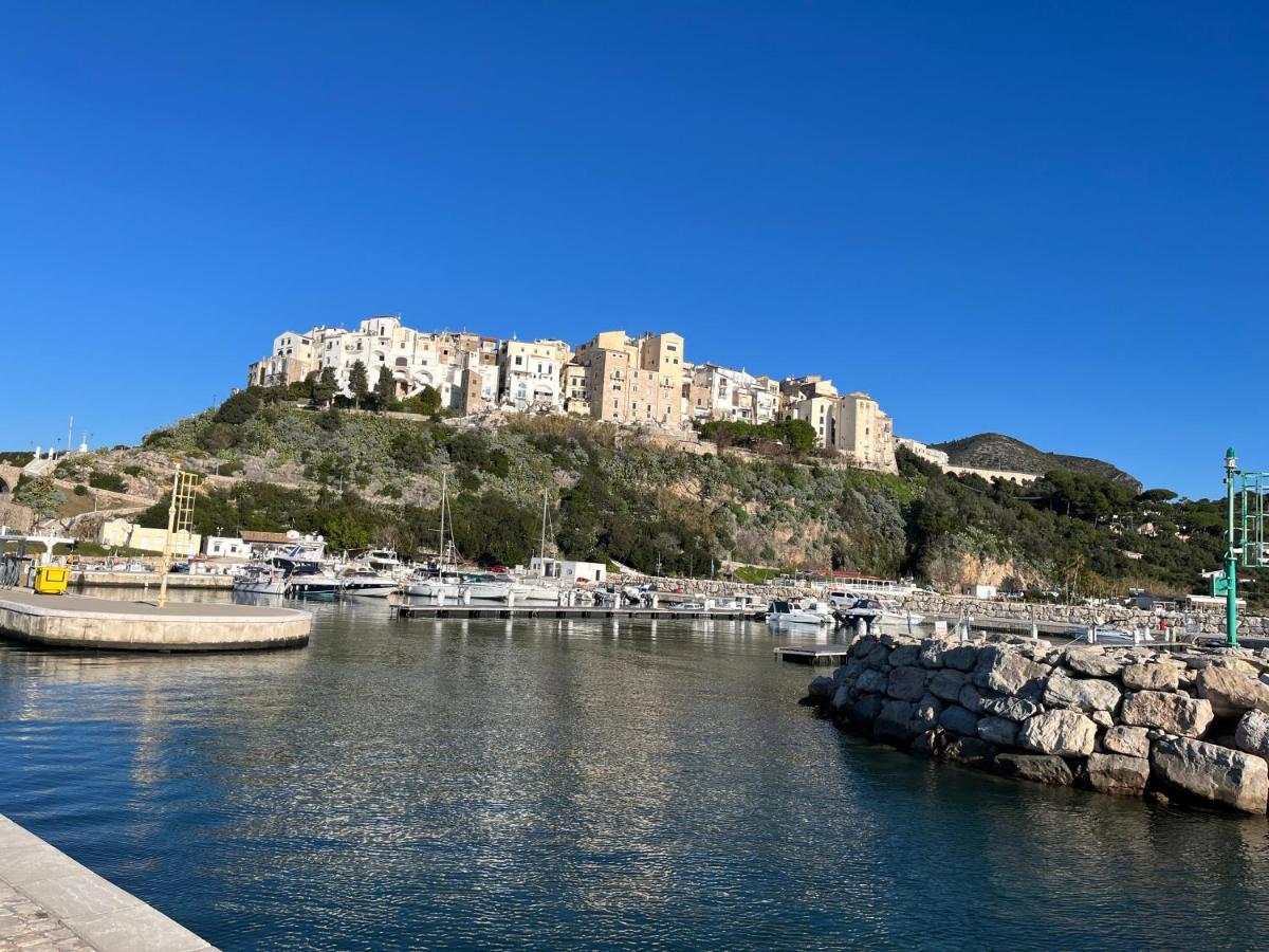 Casa Mediterranea: Appartamento Vista Mare A Soli 200M Dalla Spiaggia 斯佩隆加 外观 照片